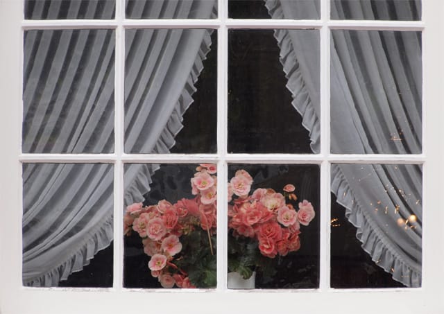 Fenster mit Blume