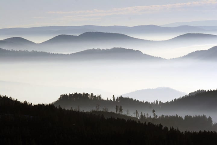 Schwarzwald