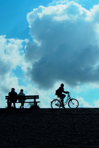 licht_1_gegenlicht_deich