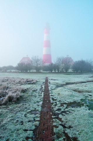 licht_1_nebel_westerhver