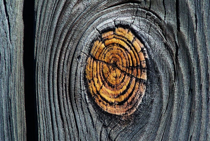 licht_1_streiflicht_holz