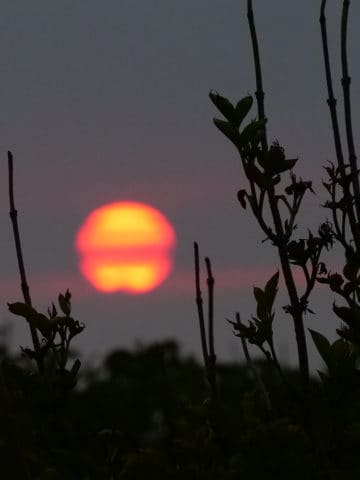 Helgoland Sonnenuntergang