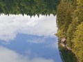 Klaus Peter Selzer "Waldsee"