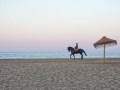 Burghhard Nitzschmann "Der Strandgraf"