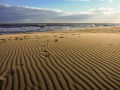 Klaus Wäscher "Menschenleerer Strand"