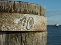 Nicola Keese „10“