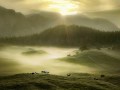 Gaby Dorka „Morgens auf der Alm“