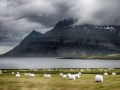 Ulrich Persch „Heuernte auf Island“