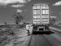 Holger Goehler „Safari“