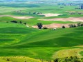 Jürgen Gregor „Palouse“
