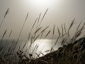 Ralf Lehmann „Lichtblick“