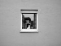 Fabian Schreyer „Katzenjammer“