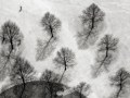 Klaus Peter Selzer „Im Park“