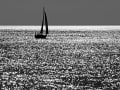 Claus-Dieter Hammer „Segelboot“