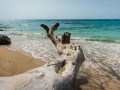 Markus Kolar „Playa Blanca“