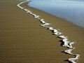 Arno Gerstenberger „Strandschaum“