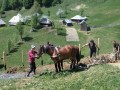 Holger Goehler „Feldarbeit“