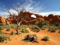 Jürgen Gregor „Skyline Arch“
