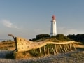 Ralf Lehmann „Hiddensee, Dornbusch“