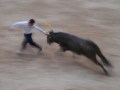 Klaus Wäscher „Courses Camarguaises“