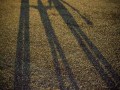 René Albarus, „Family“, Sony A6000
