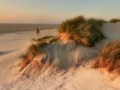 Edwin Biehl, „Reiturlaub“, Olympus E-M1