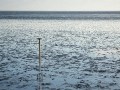 Andreas Pfau, „Forke im Watt“, k. A.