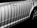 Doris Bröker, „Lackschatten“, Panasonic Lumix FZ200