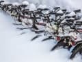 Rudolf Schieben, „Eingeschneit“, Canon EOS 5D Mark III