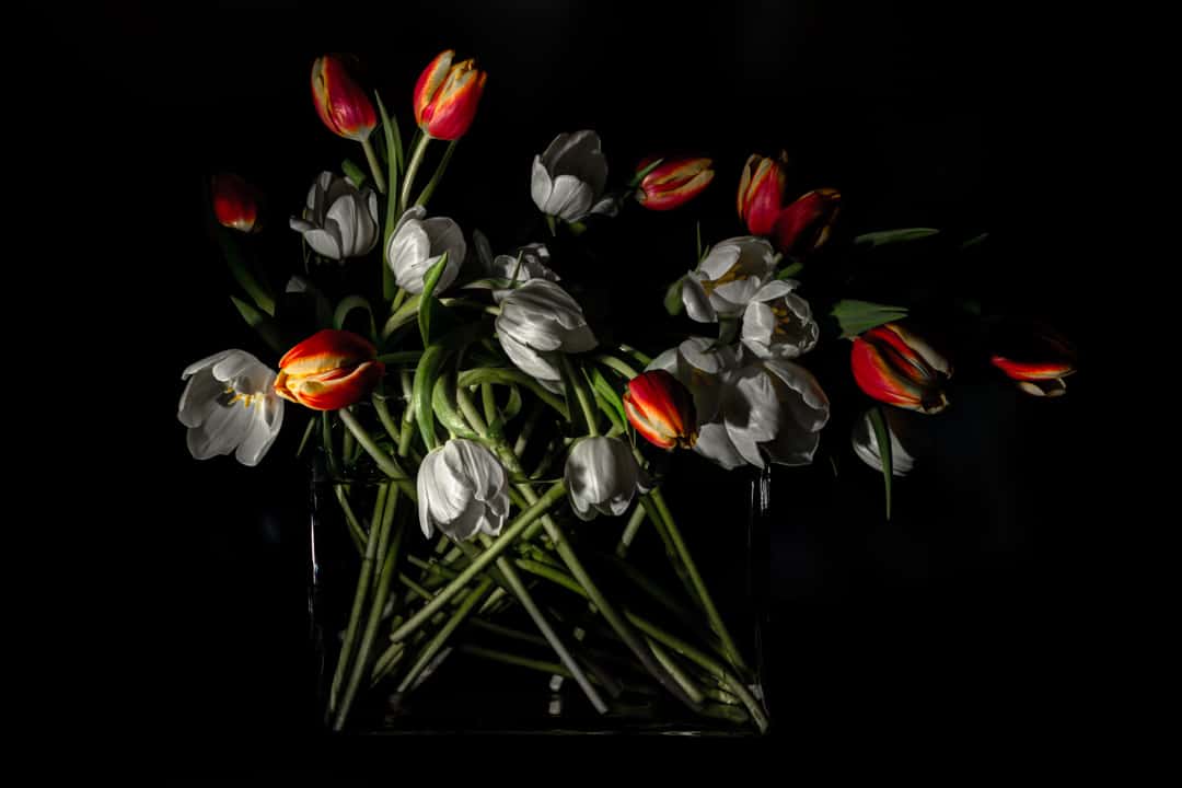 Sven Pritsche, „Low Key Blumen“, Sony A77 II