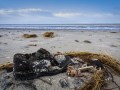 Nicolas Berger, „Strandschuh“, Canon EOS 450D