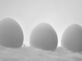 Herbert Dahlmann, „Eischnee“, Nikon D5000