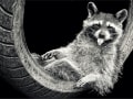 Klaus-Peter Selzer, „Relax“, Canon EOS 7D