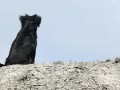 Karen Falck,  „Gedankenverloren“, Panasonic Lumix DMC-G1