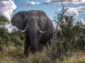 Gabriele Wurst, „Der graue Riese“, Canon EOS 6D