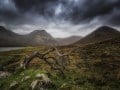 Ingrid Hofbauer, "Fallen Tree Of Torrin", Canon EOS 5D Mark III