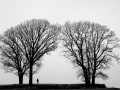 Marlis Becker, "Lonly", Canon EOS 5D Mark III