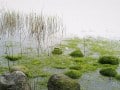 Bernd Kaubisch, "Winterwasser", Fujifilm X-Pro 1