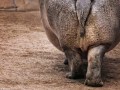 Burghard Nitzschmann „Ca. 4 Tonnen“ | Canon EOS 5D Mark  II