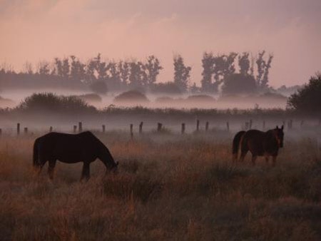 Siegerfoto_Landschaft_web