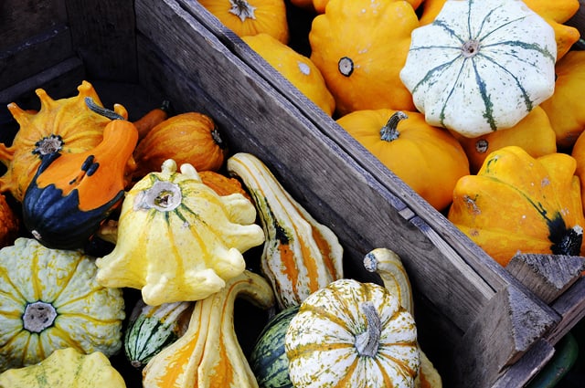 herbst_kuerbisse_markt