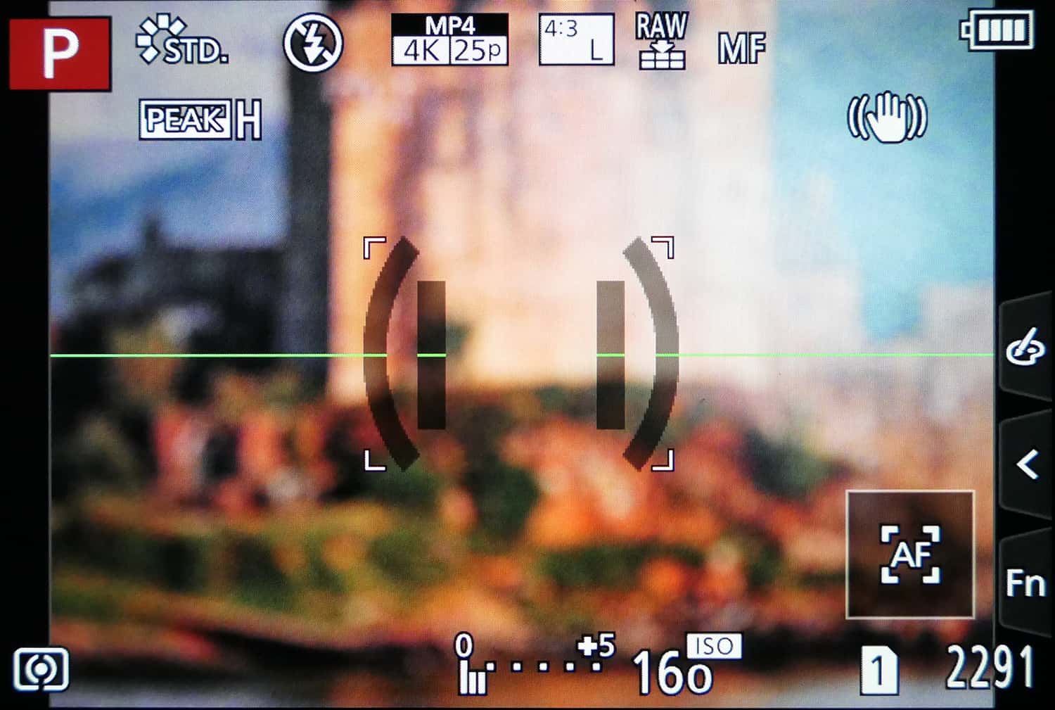 Panasonic Lumix Sucheranzeige