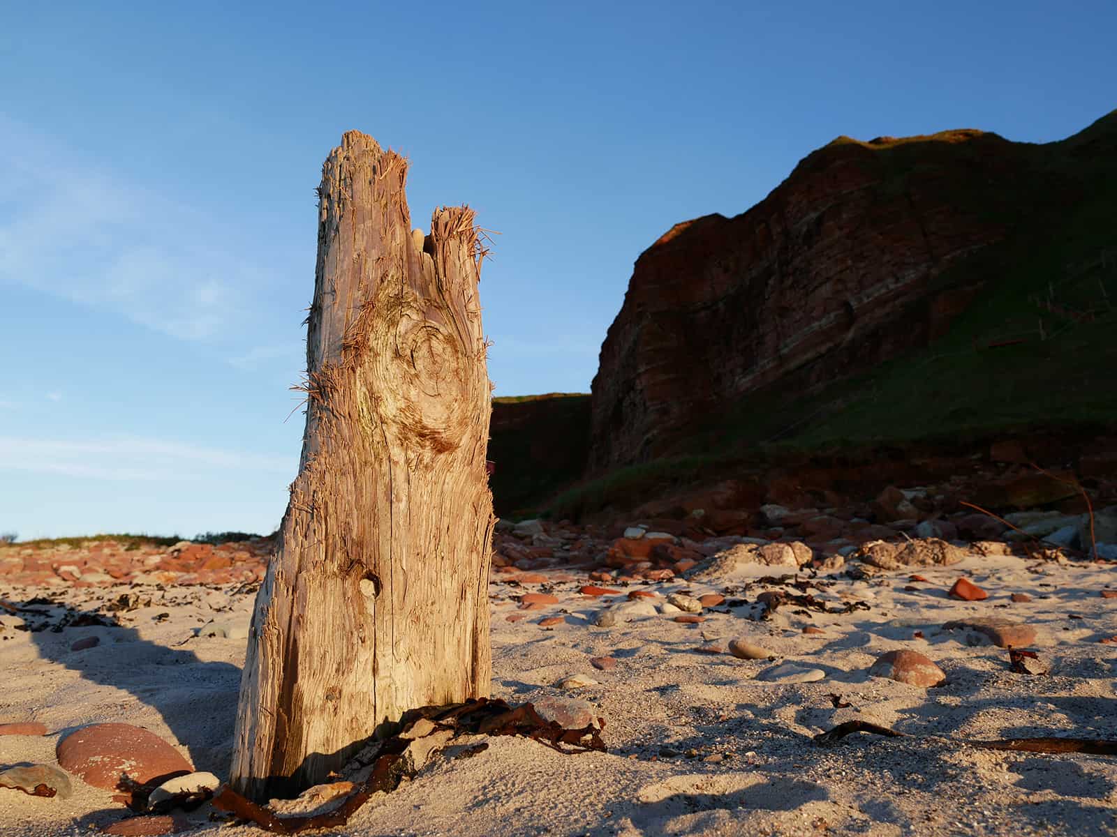 Alter Holzpfosten auf Helgoland