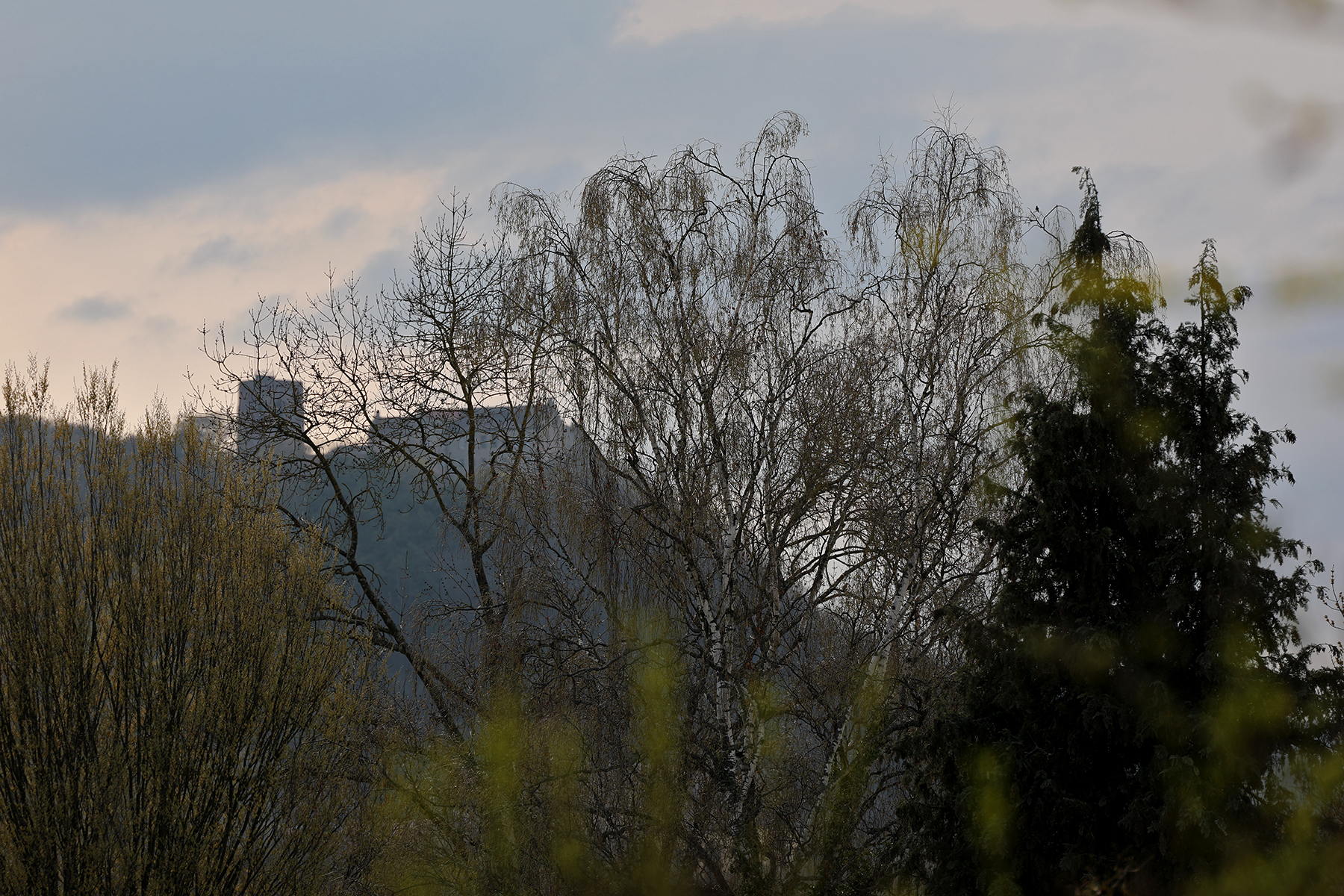 Schloss Saaleck hinter Bäumen fotografiert mit dem Sigma 70-200 mm Sports