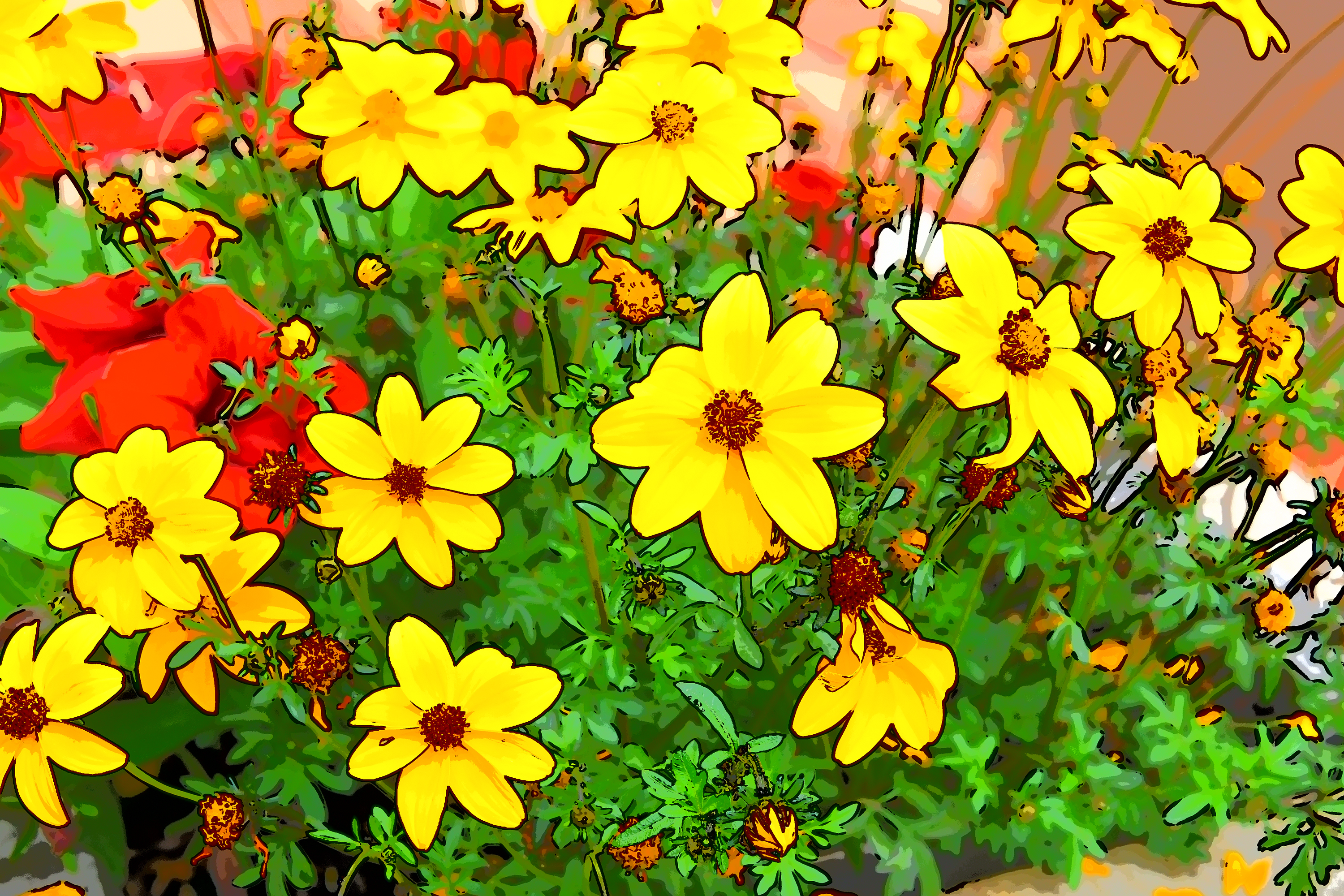 bunte Blumen, aufgenommen mit Nikon D7500