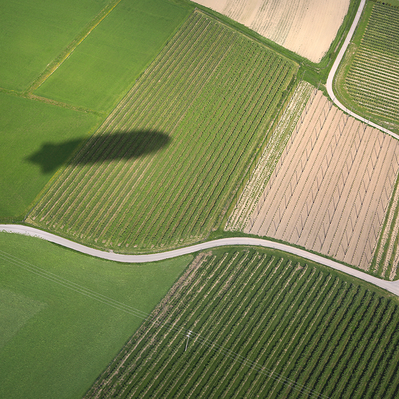 Schatten eines Zeppelins auf einem Feld
