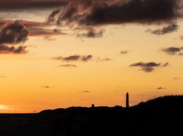 blavand_1__beitrag_XL