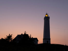 tam_blavand_3_beitrag