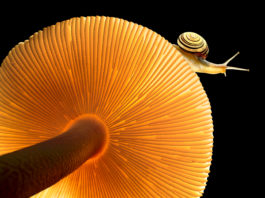 1__koradi_christian_unterwegs