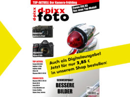 dp_20_1_digitalausgabe_2